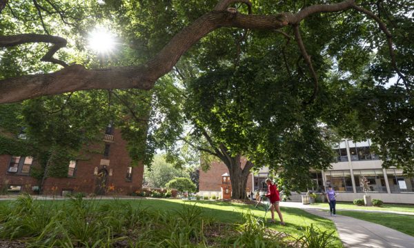 Visit Augsburg’s urban arboretum: a green oasis in the city